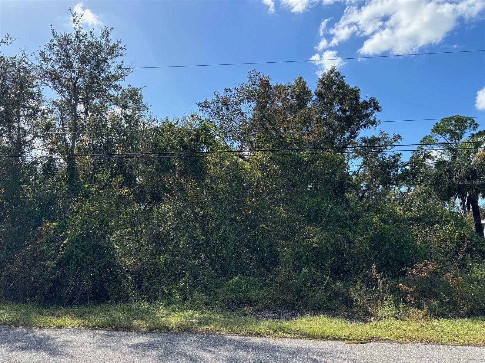 BILLINGHAM LN, NORTH PORT, FL, 34288