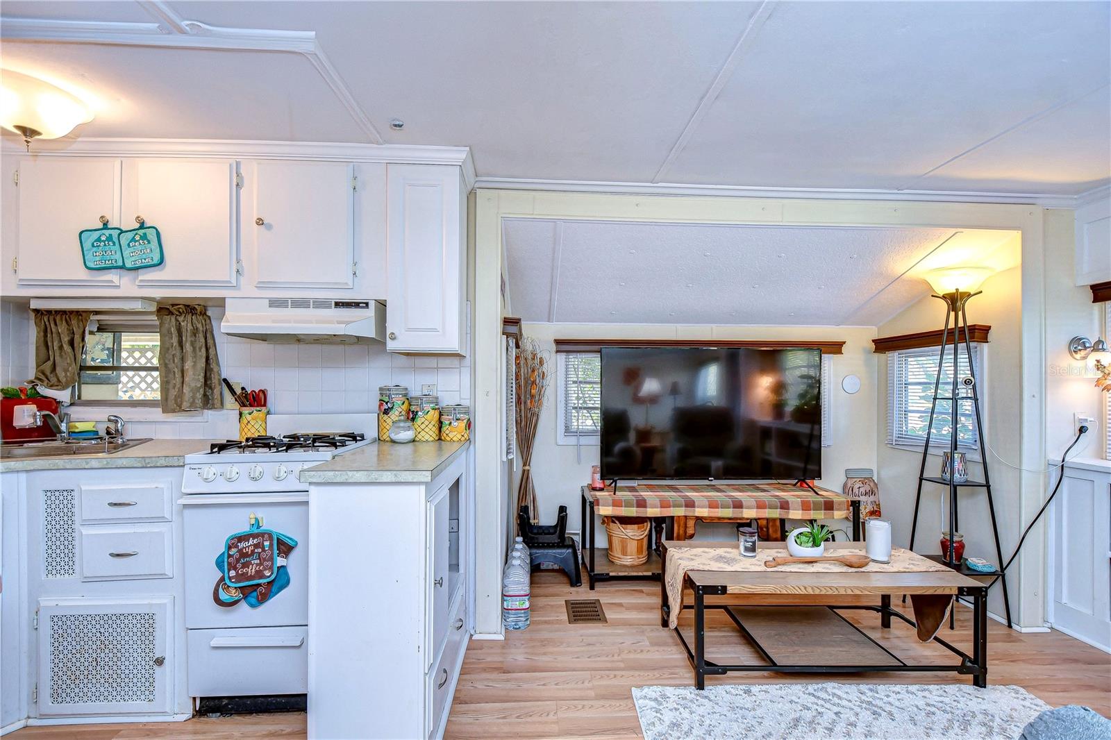 35210 CONDOMINIUM BLVD, ZEPHYRHILLS, FL, 33541