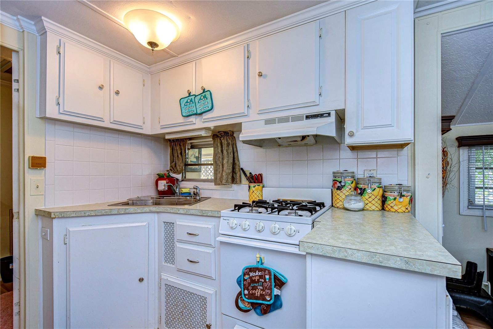 35210 CONDOMINIUM BLVD, ZEPHYRHILLS, FL, 33541