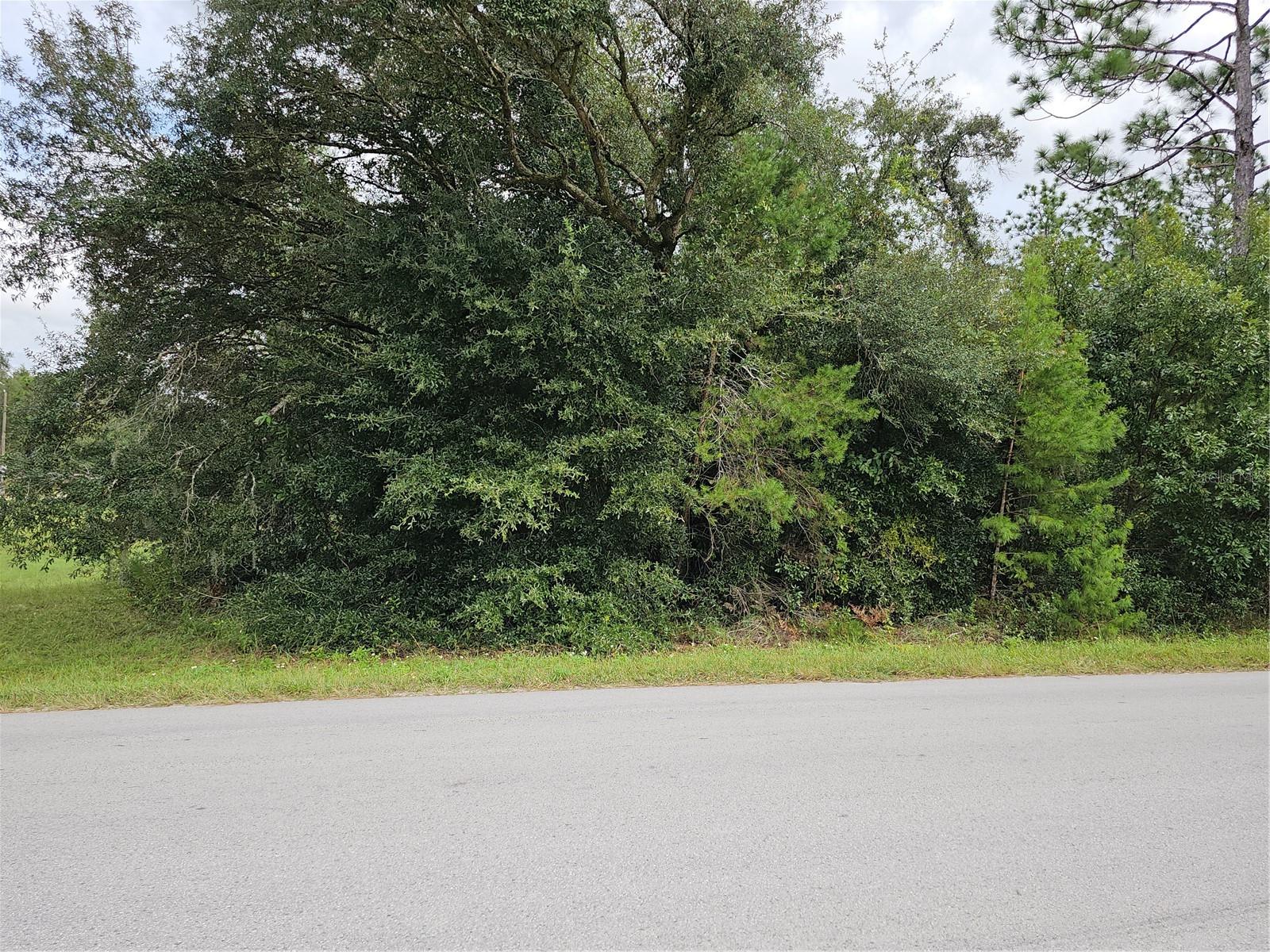 00 SW 129 TERRACE RD, DUNNELLON, FL, 34432