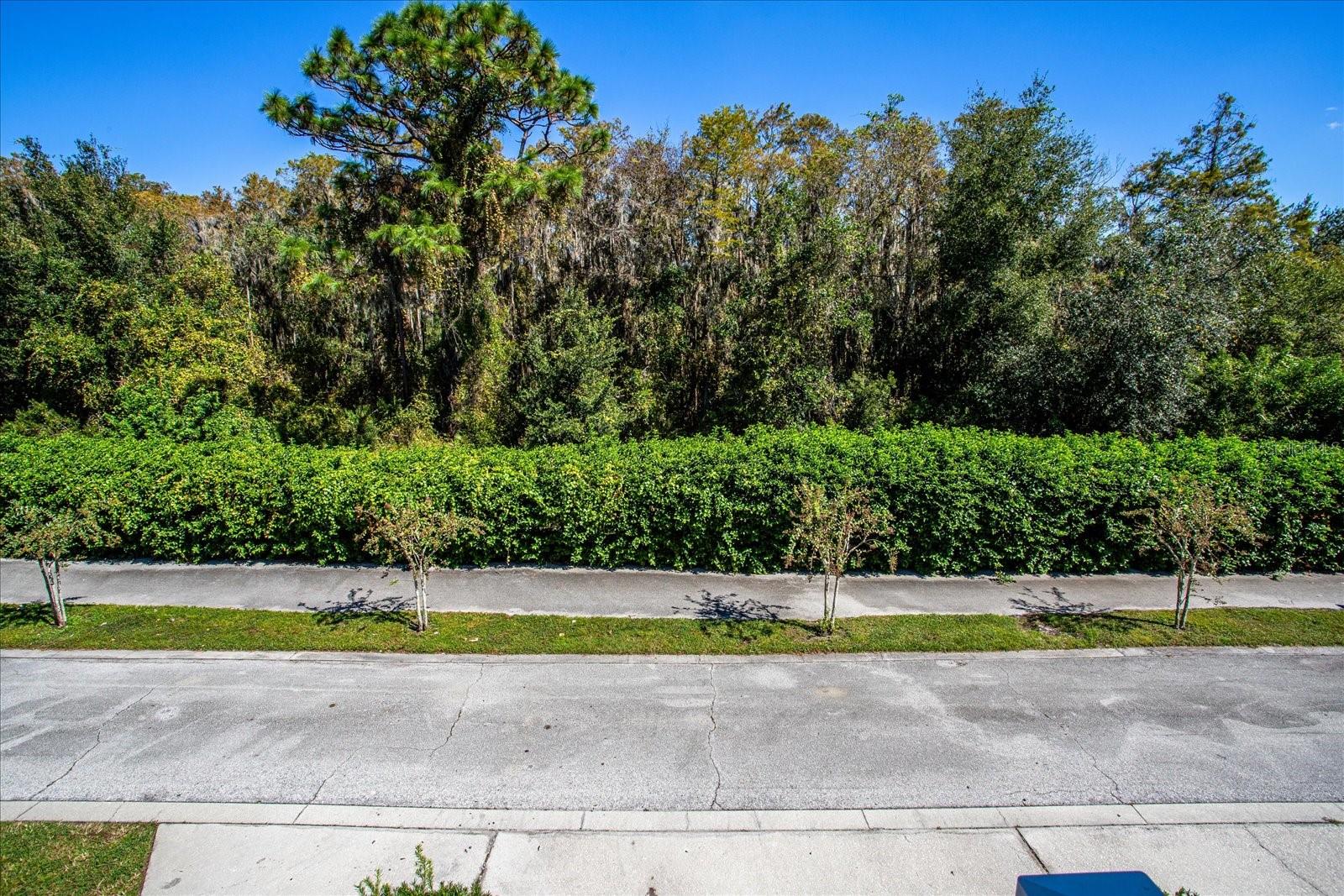 10810 ECLIPSE LILY WAY #S, ORLANDO, FL, 32832