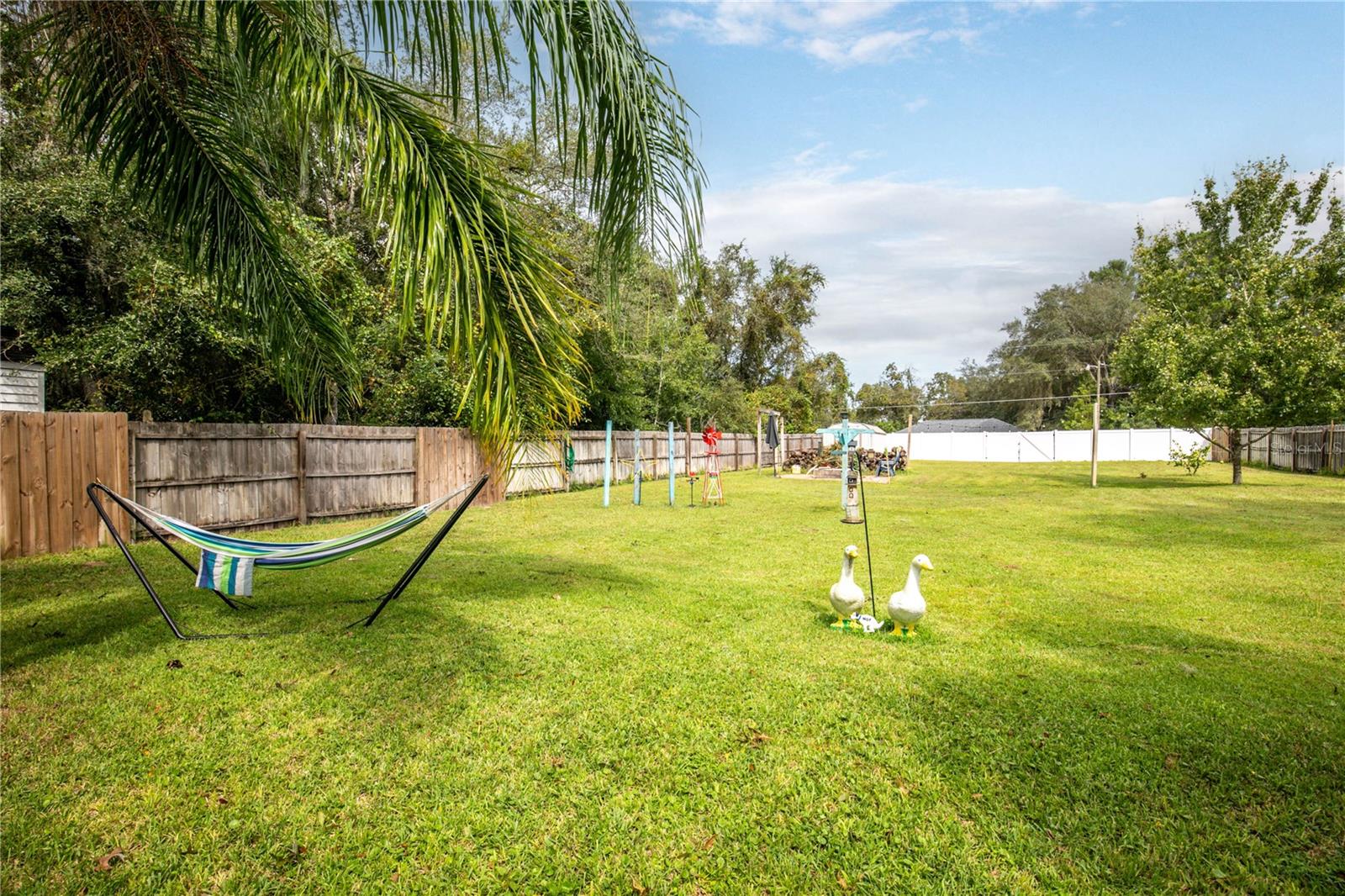 4513 JUNIPER ST, LADY LAKE, FL, 32159