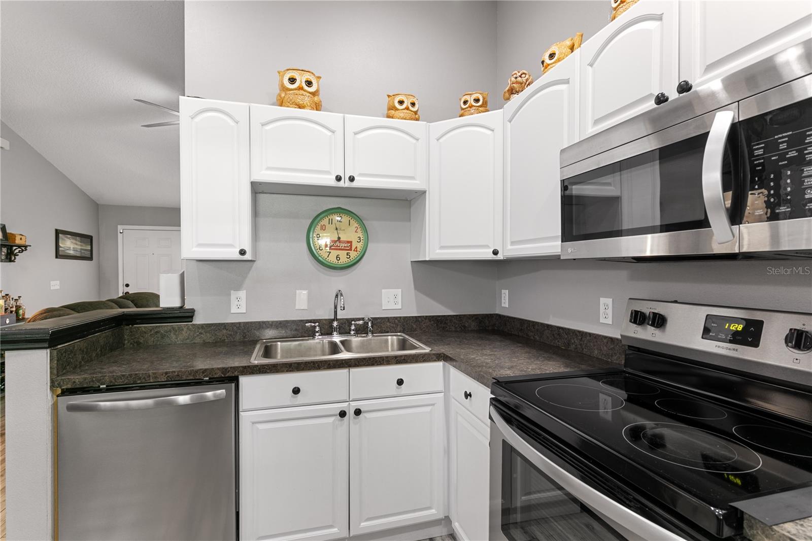 4513 JUNIPER ST, LADY LAKE, FL, 32159