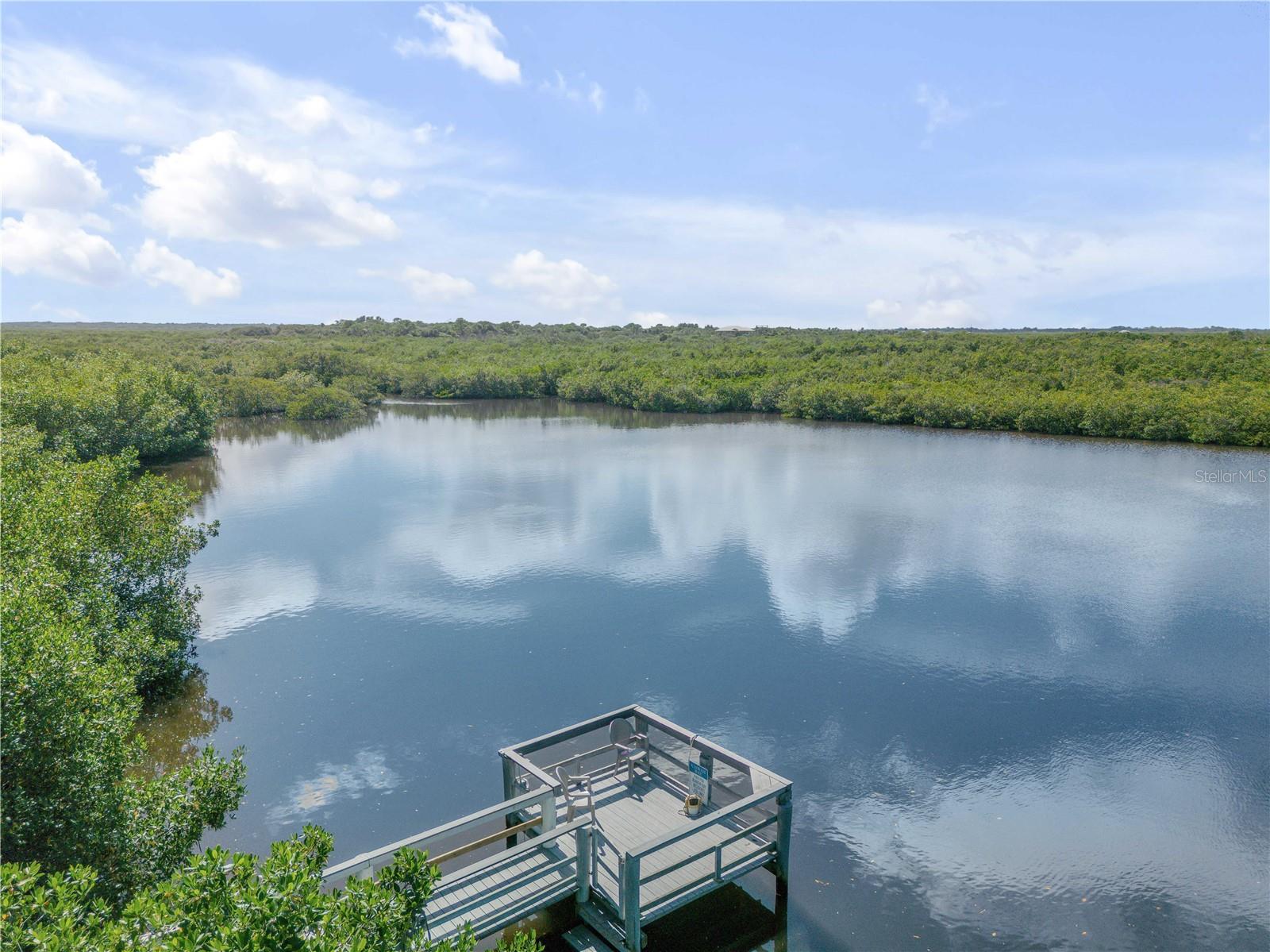 4870 S ATLANTIC AVE #2010, NEW SMYRNA BEACH, FL, 32169