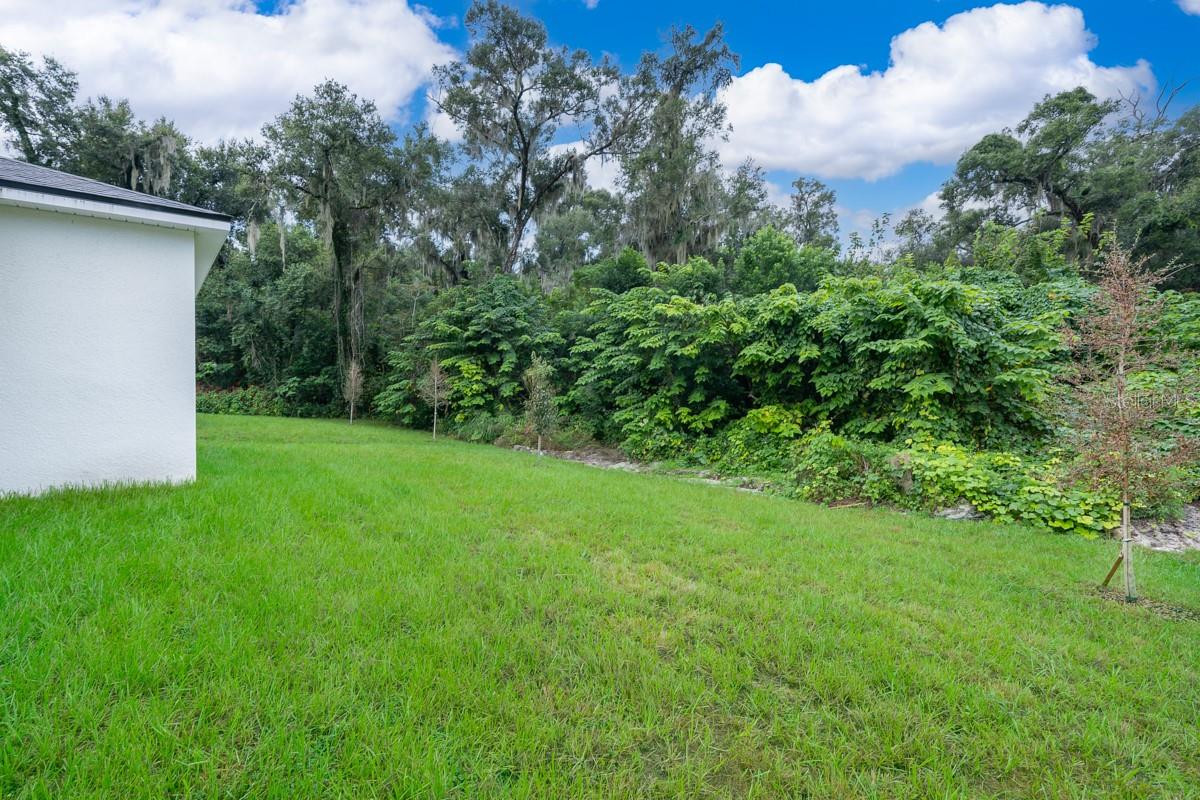 248 S VIRGINIA AVE, DELAND, FL, 32724