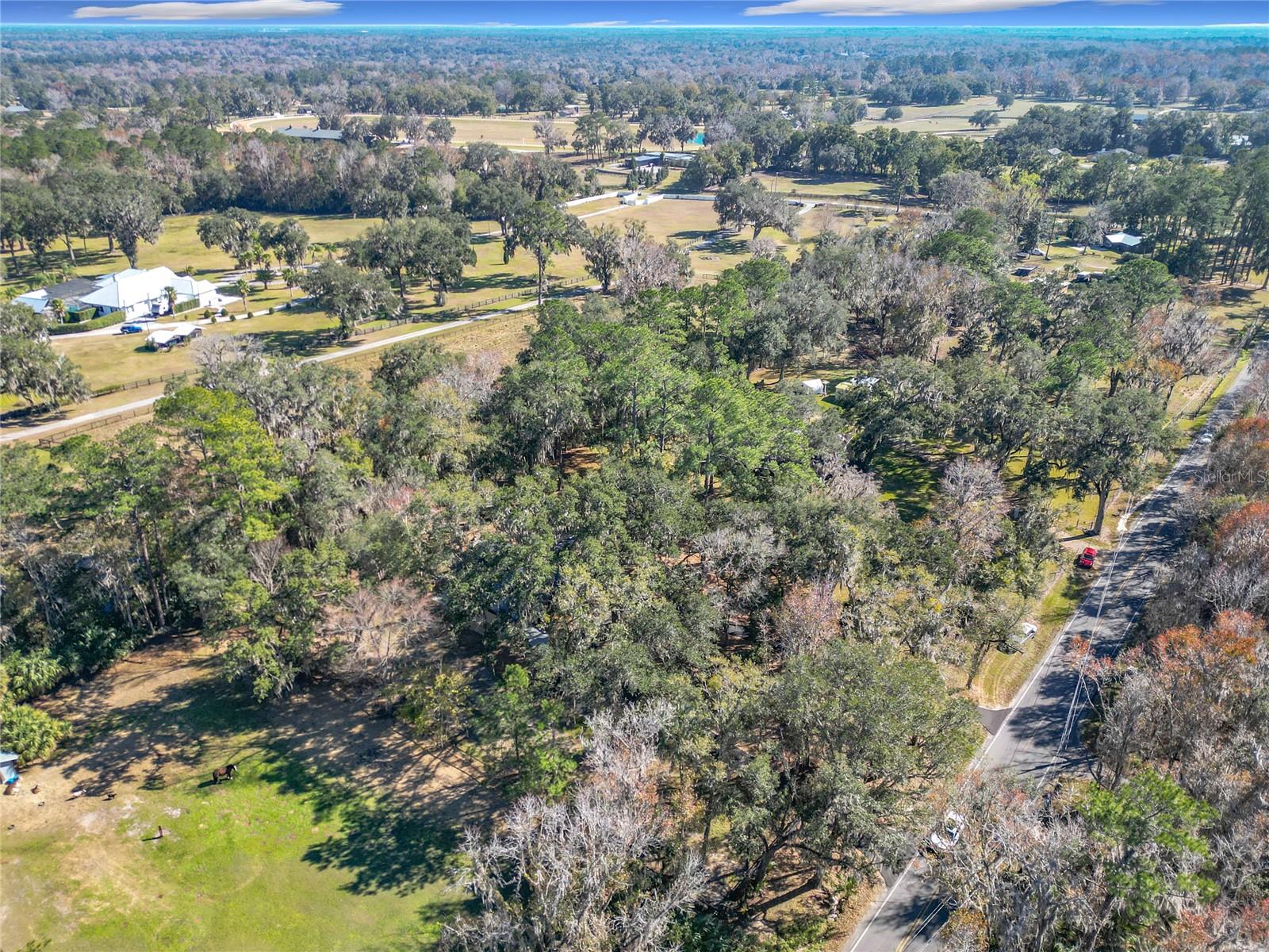 7131 SW 19TH AVENUE RD, OCALA, FL, 34476