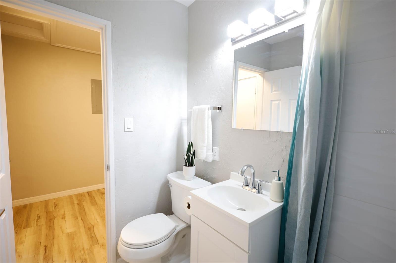 3806 W WALLACE AVE, TAMPA, FL, 33611
