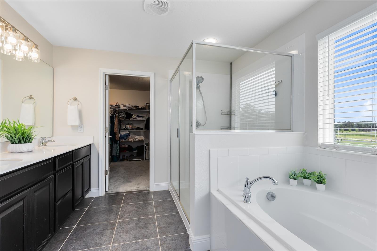 4271 TIGRIS DR, APOPKA, FL, 32712