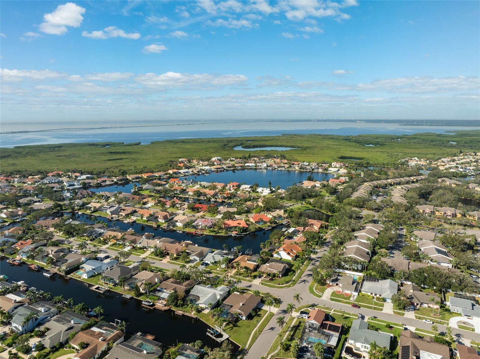 5823 DORY WAY, TAMPA, FL, 33615