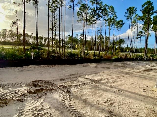 19 SUMMERWOOD RD N, PALM COAST, FL, 32137