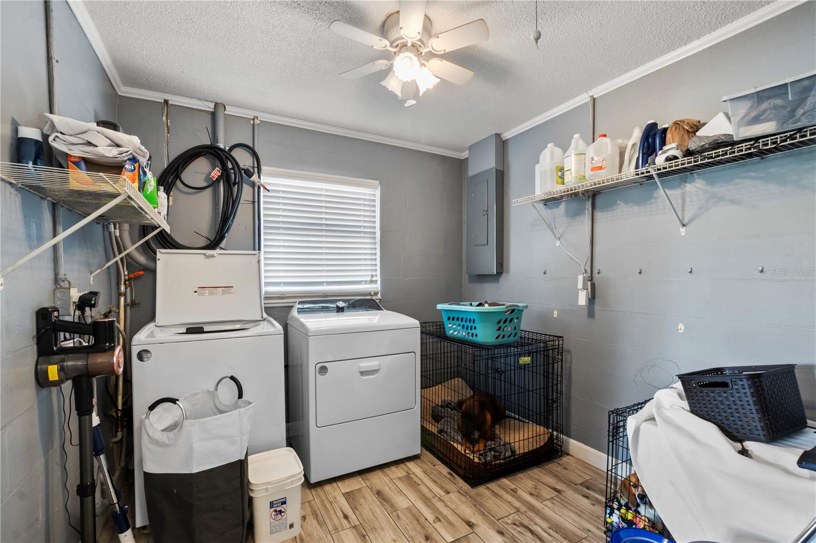 2834 THORNHILL RD, WINTER HAVEN, FL, 33880