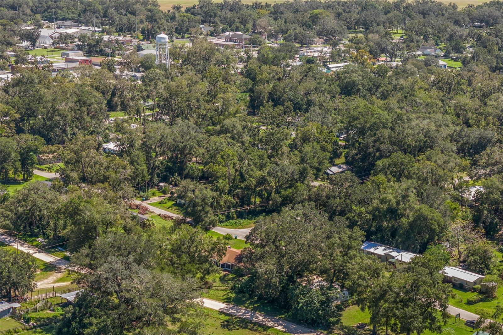 601 NW 5TH AVE, TRENTON, FL, 32693