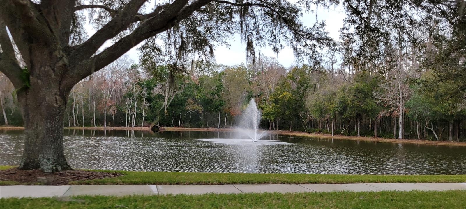 4467 WORTHINGTON CT, PALM HARBOR, FL, 34685