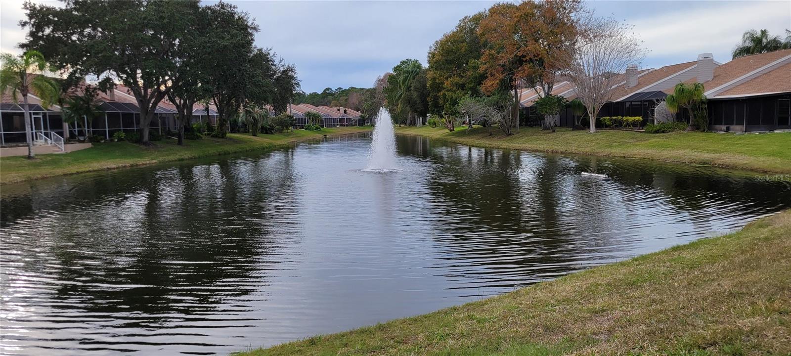4467 WORTHINGTON CT, PALM HARBOR, FL, 34685