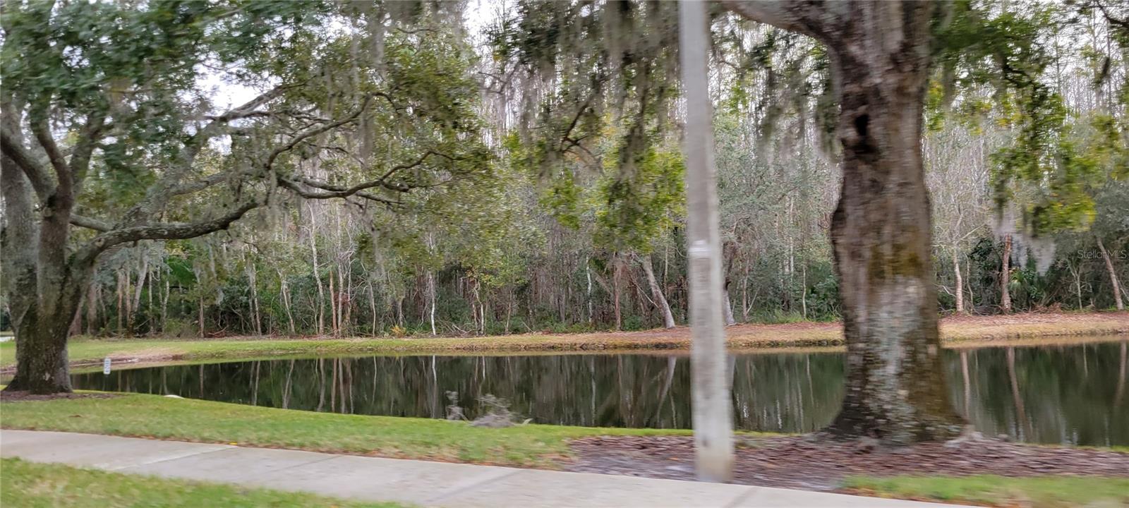 4467 WORTHINGTON CT, PALM HARBOR, FL, 34685