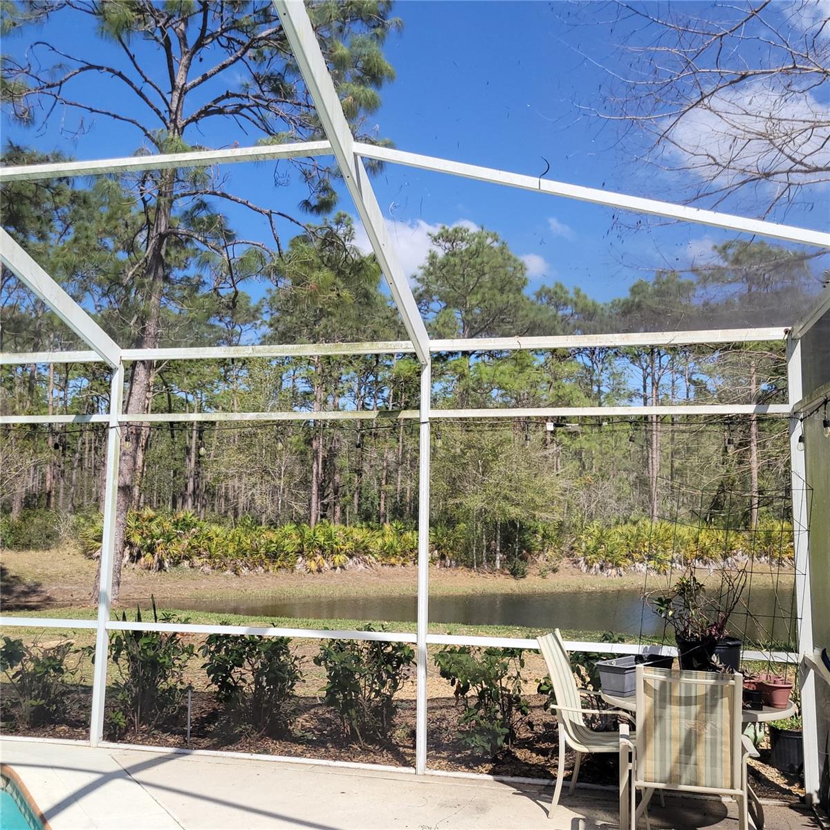 4467 WORTHINGTON CT, PALM HARBOR, FL, 34685