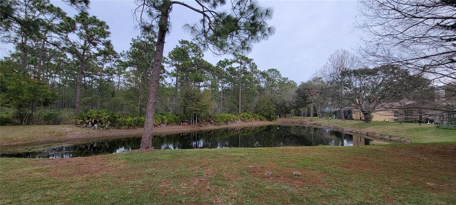 4467 WORTHINGTON CT, PALM HARBOR, FL, 34685
