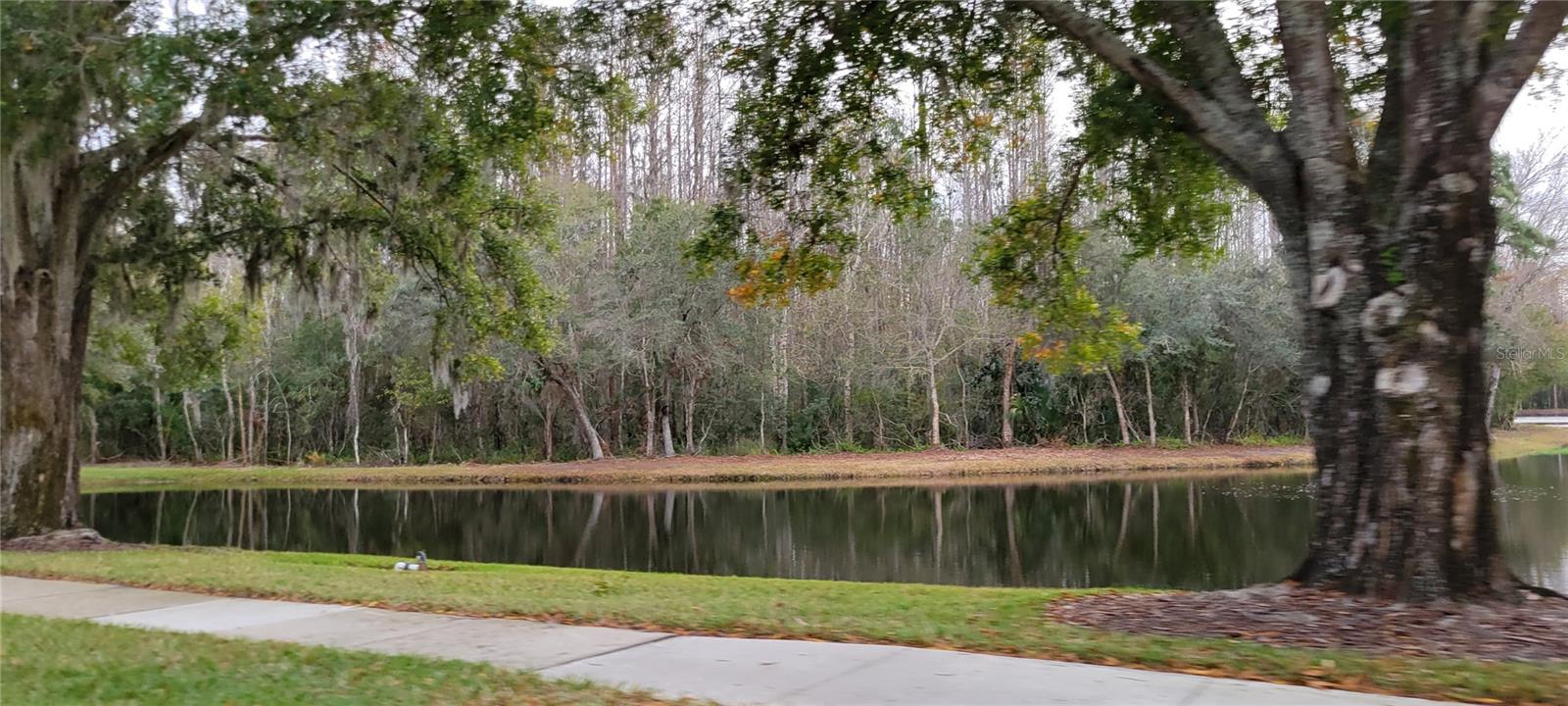 4467 WORTHINGTON CT, PALM HARBOR, FL, 34685