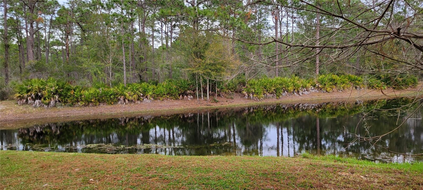 4467 WORTHINGTON CT, PALM HARBOR, FL, 34685