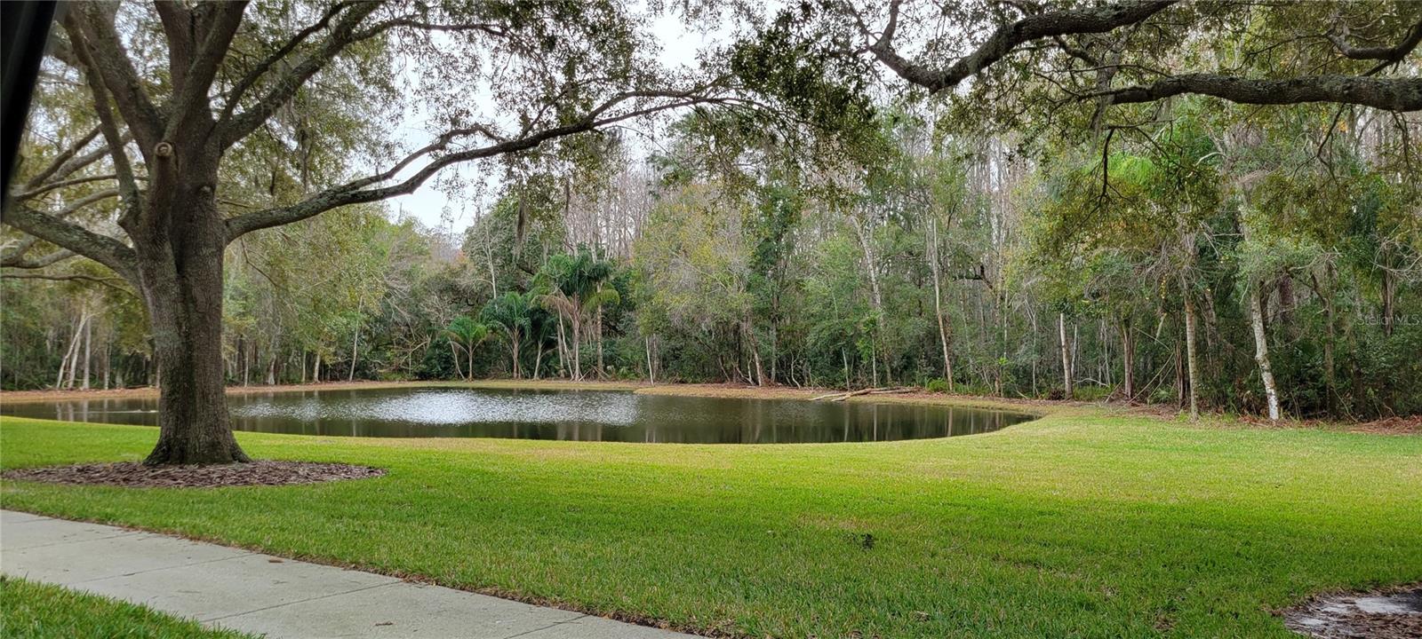 4467 WORTHINGTON CT, PALM HARBOR, FL, 34685