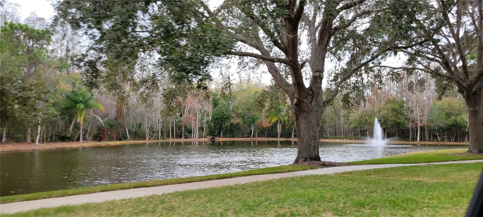 4467 WORTHINGTON CT, PALM HARBOR, FL, 34685