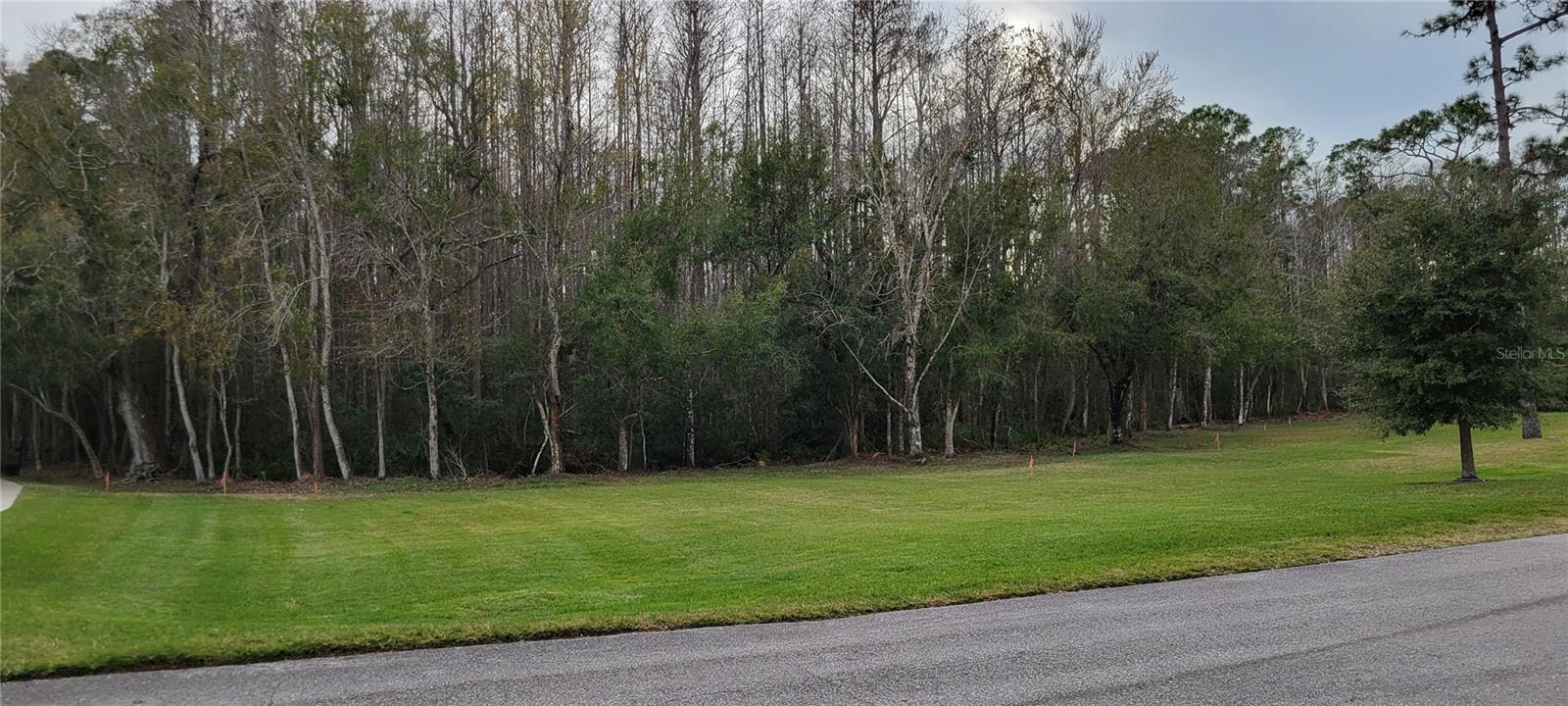 4467 WORTHINGTON CT, PALM HARBOR, FL, 34685