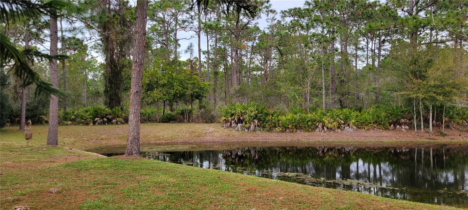 4467 WORTHINGTON CT, PALM HARBOR, FL, 34685