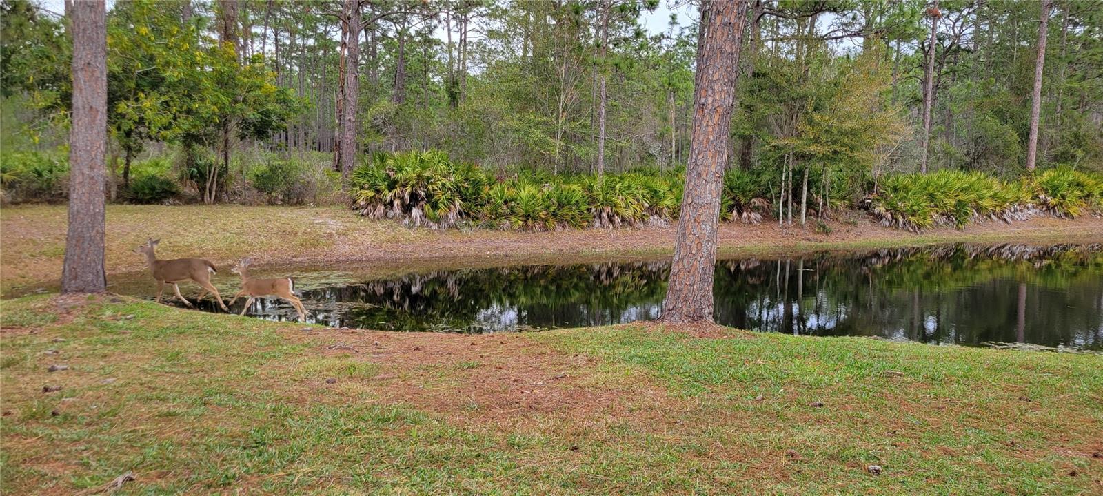 4467 WORTHINGTON CT, PALM HARBOR, FL, 34685