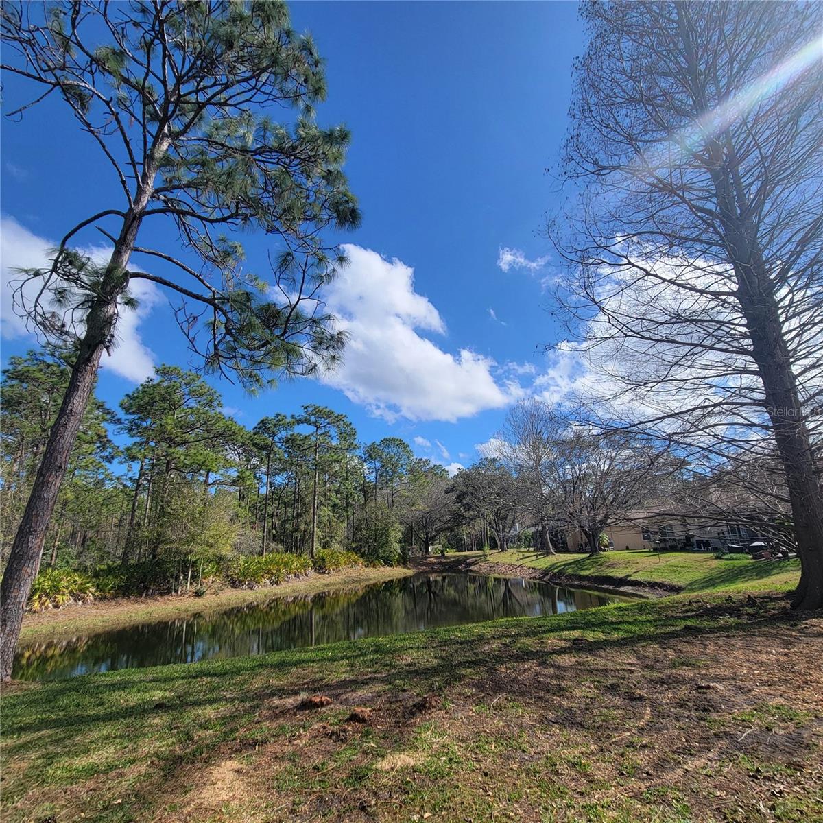 4467 WORTHINGTON CT, PALM HARBOR, FL, 34685