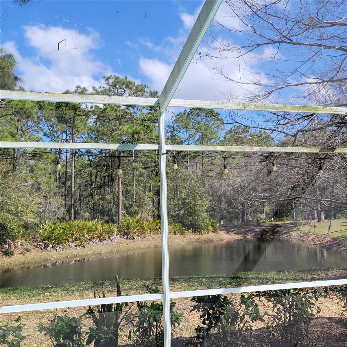 4467 WORTHINGTON CT, PALM HARBOR, FL, 34685