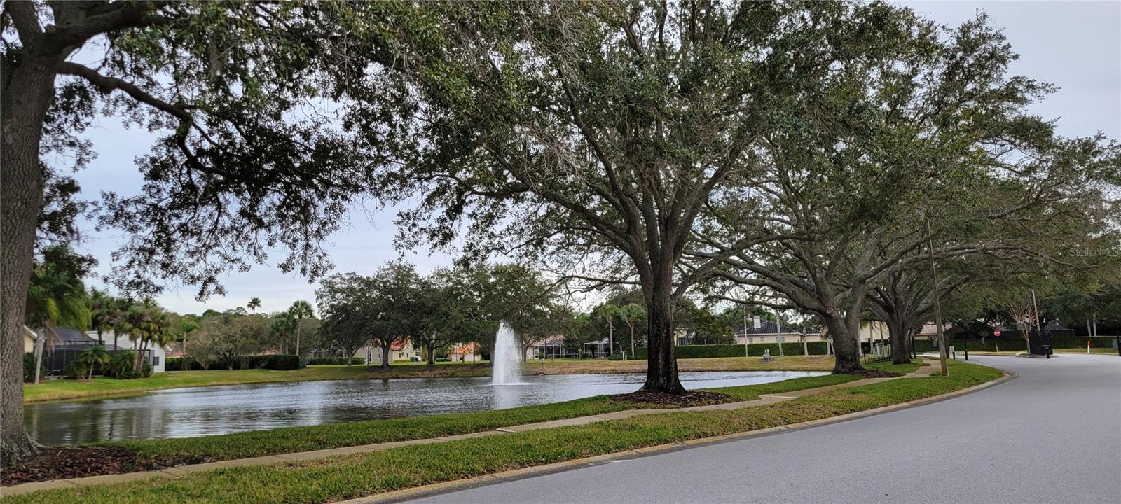 4467 WORTHINGTON CT, PALM HARBOR, FL, 34685