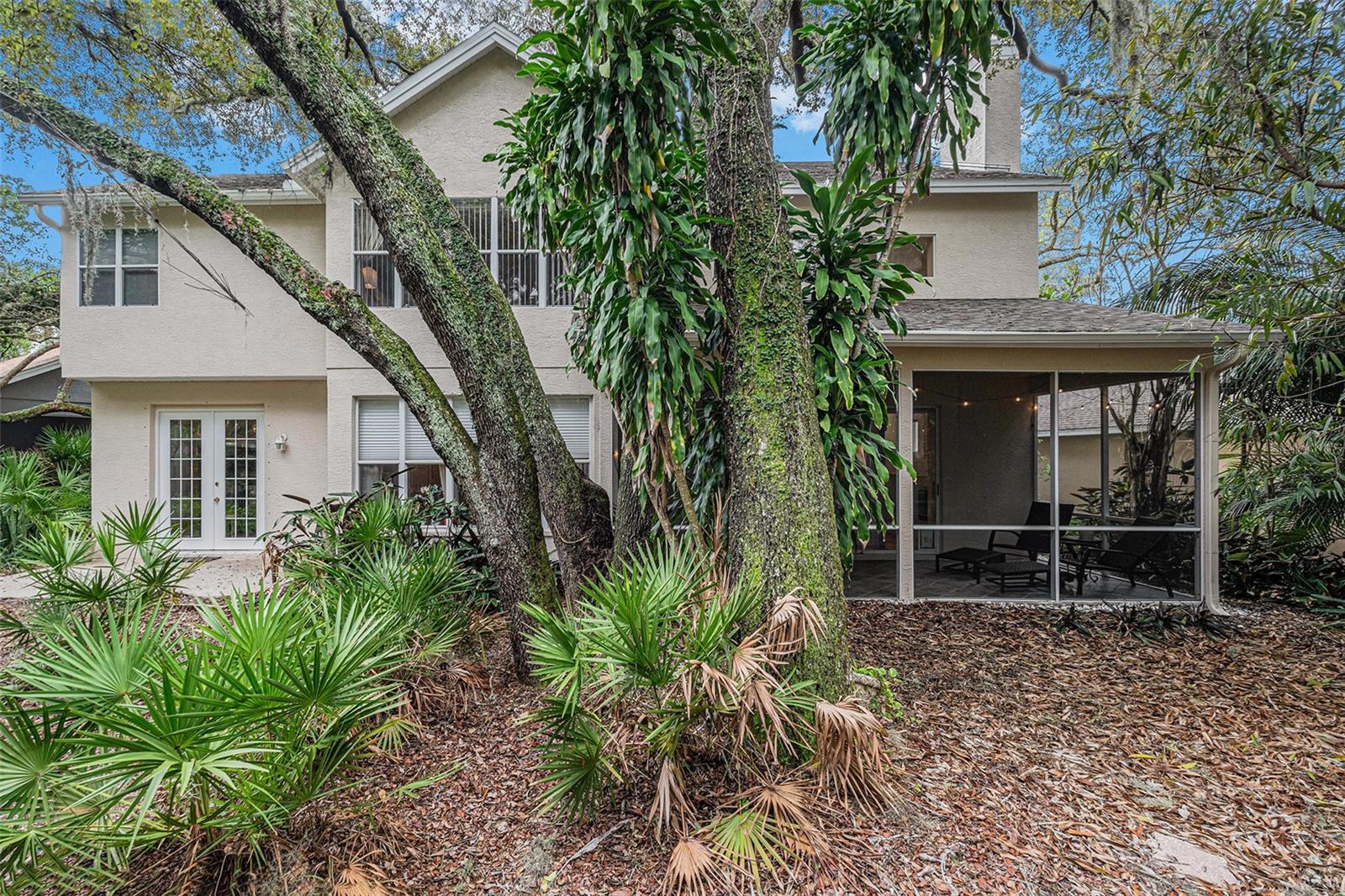 2202 GREEN OAKS LN, TAMPA, FL, 33612