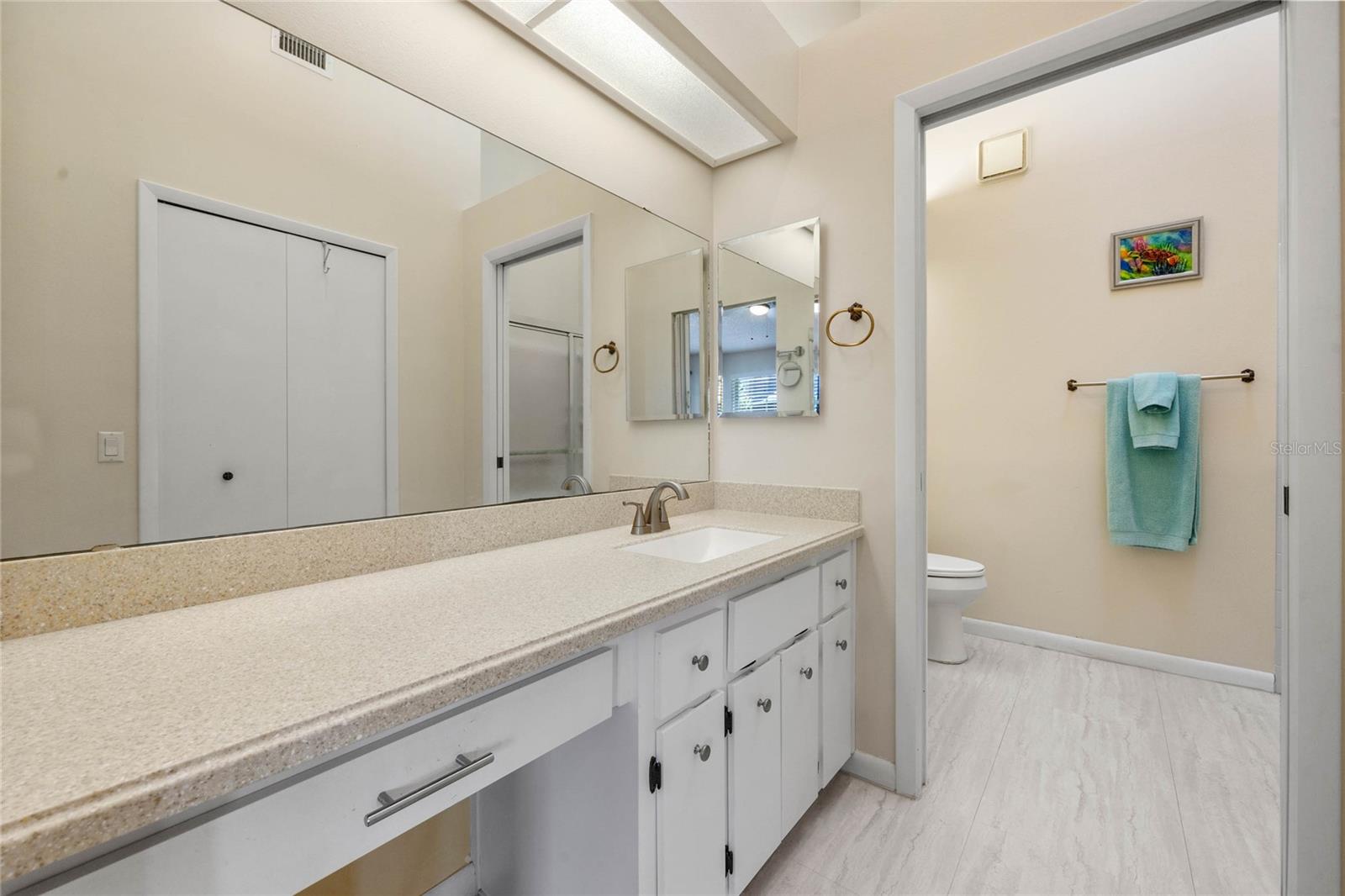 5512 ROSEWALL CIR, LEESBURG, FL, 34748