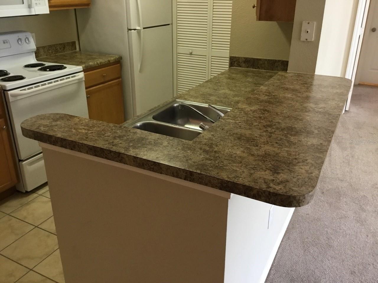 REGISTRY/MICHIGAN PARK CONDO, ORLANDO, FL, 32822