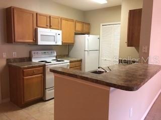 REGISTRY/MICHIGAN PARK CONDO, ORLANDO, FL, 32822