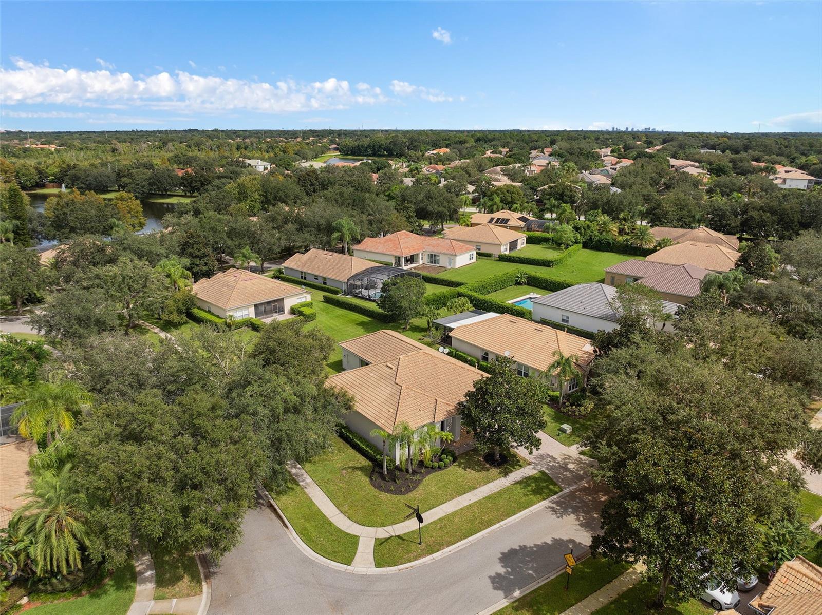 11045 BELMERE ISLES CT, WINDERMERE, FL, 34786