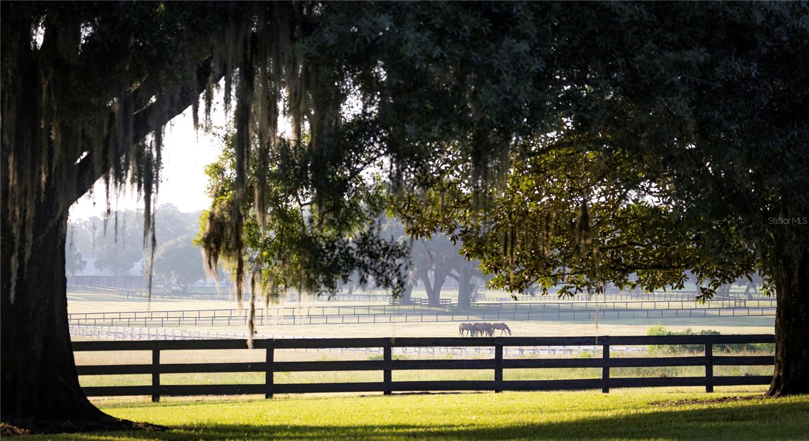 12870 W HIGHWAY 40, OCALA, FL, 34481