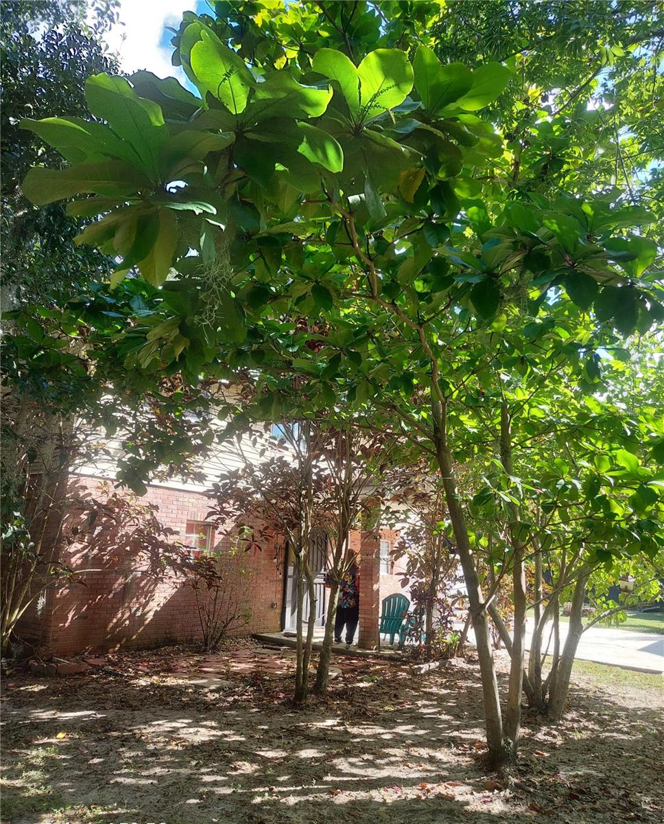 1315 W 9TH ST, LAKELAND, FL, 33805