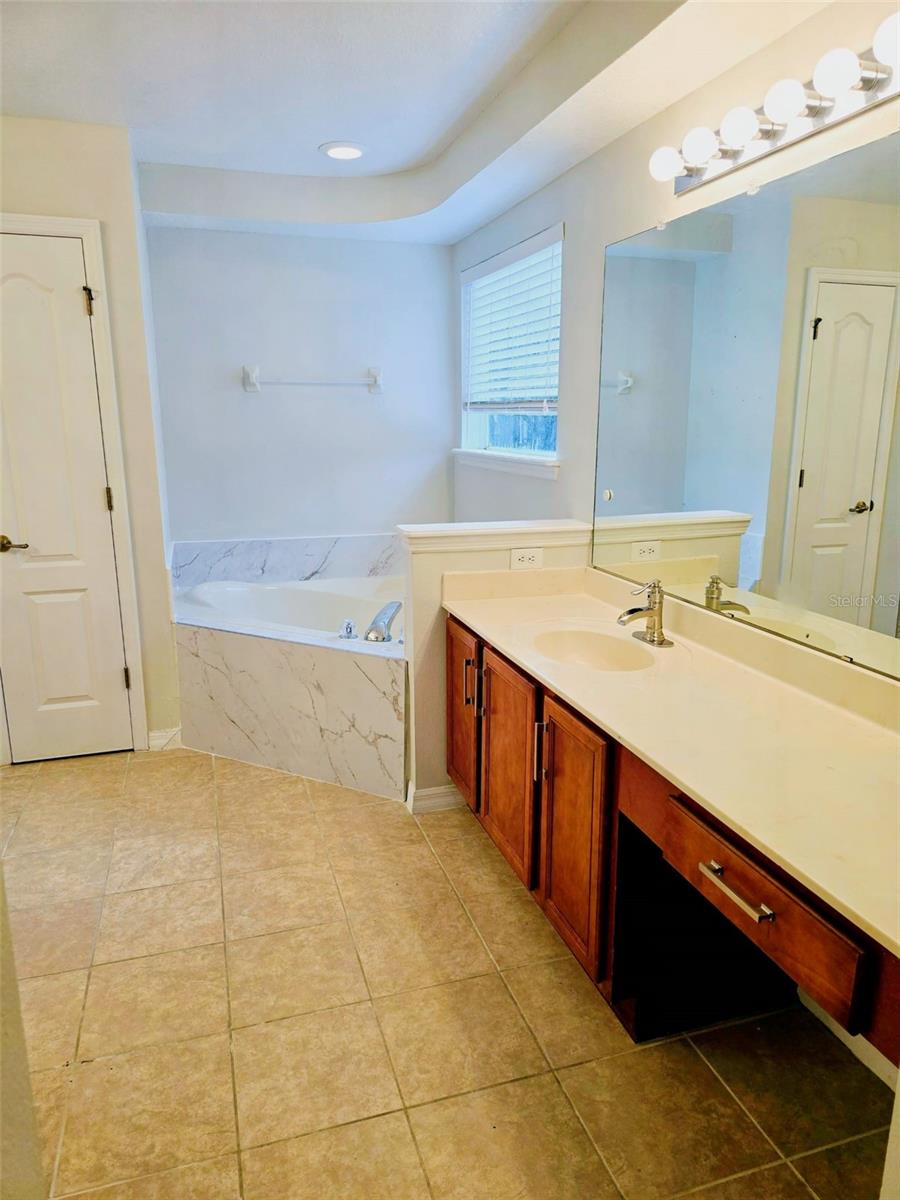 25131 CHIPSHOT CT, SORRENTO, FL, 32776