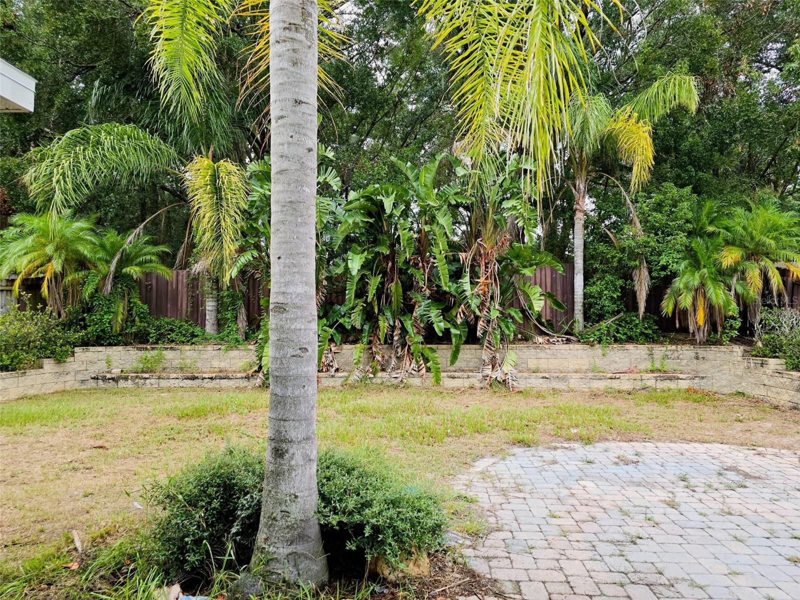 25131 CHIPSHOT CT, SORRENTO, FL, 32776
