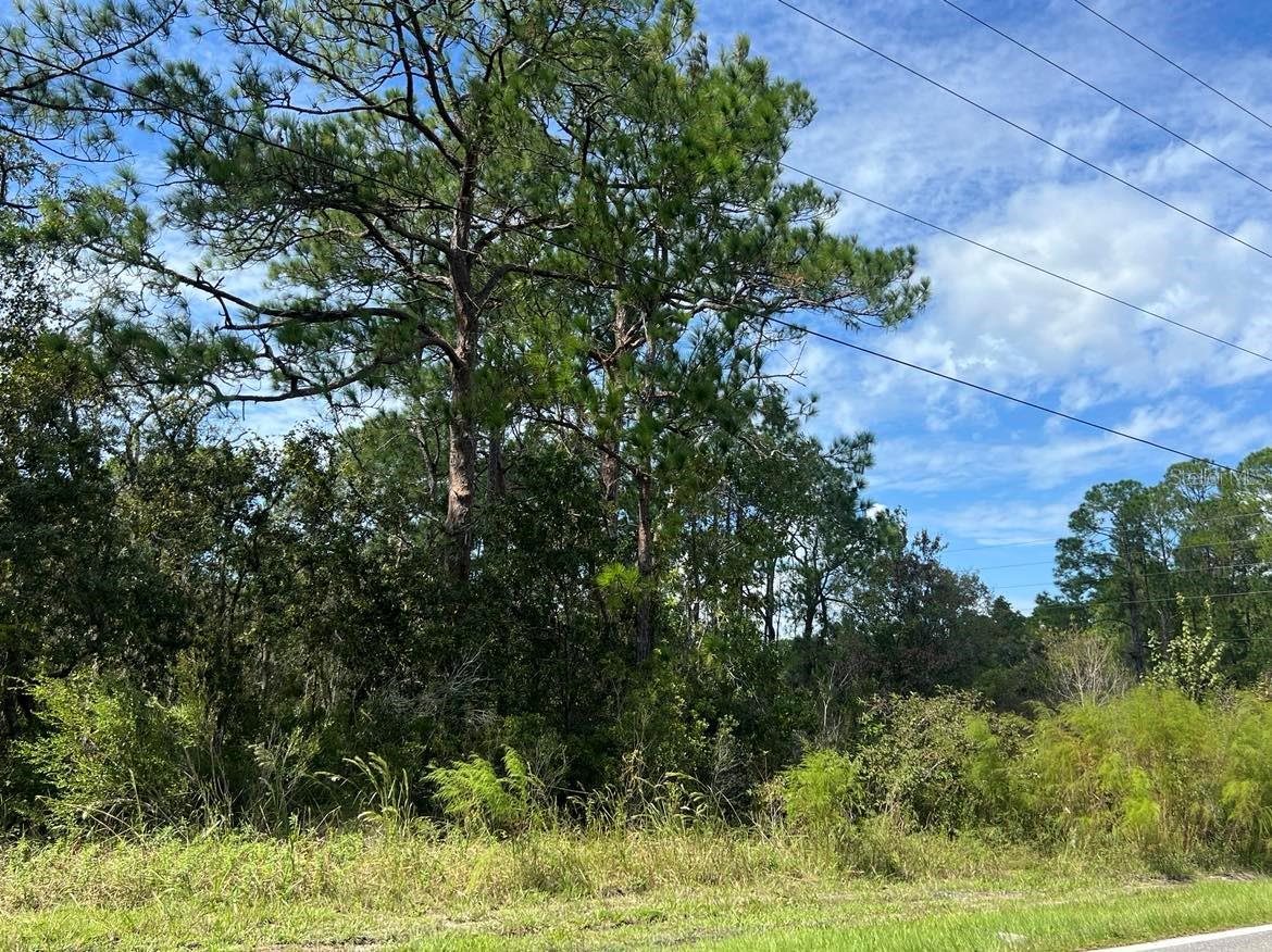 0 MADONNA DR, WEBSTER, FL, 33597