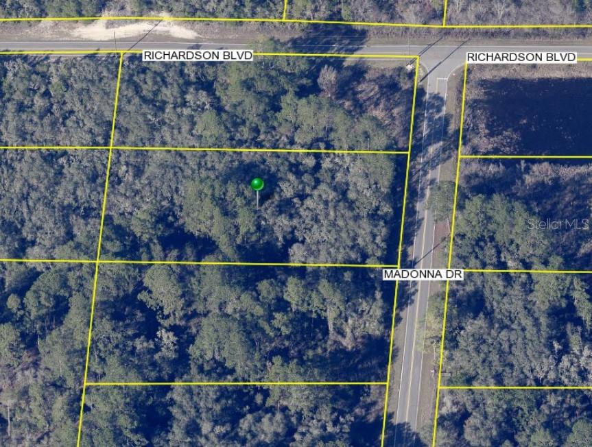 0 MADONNA DR, WEBSTER, FL, 33597