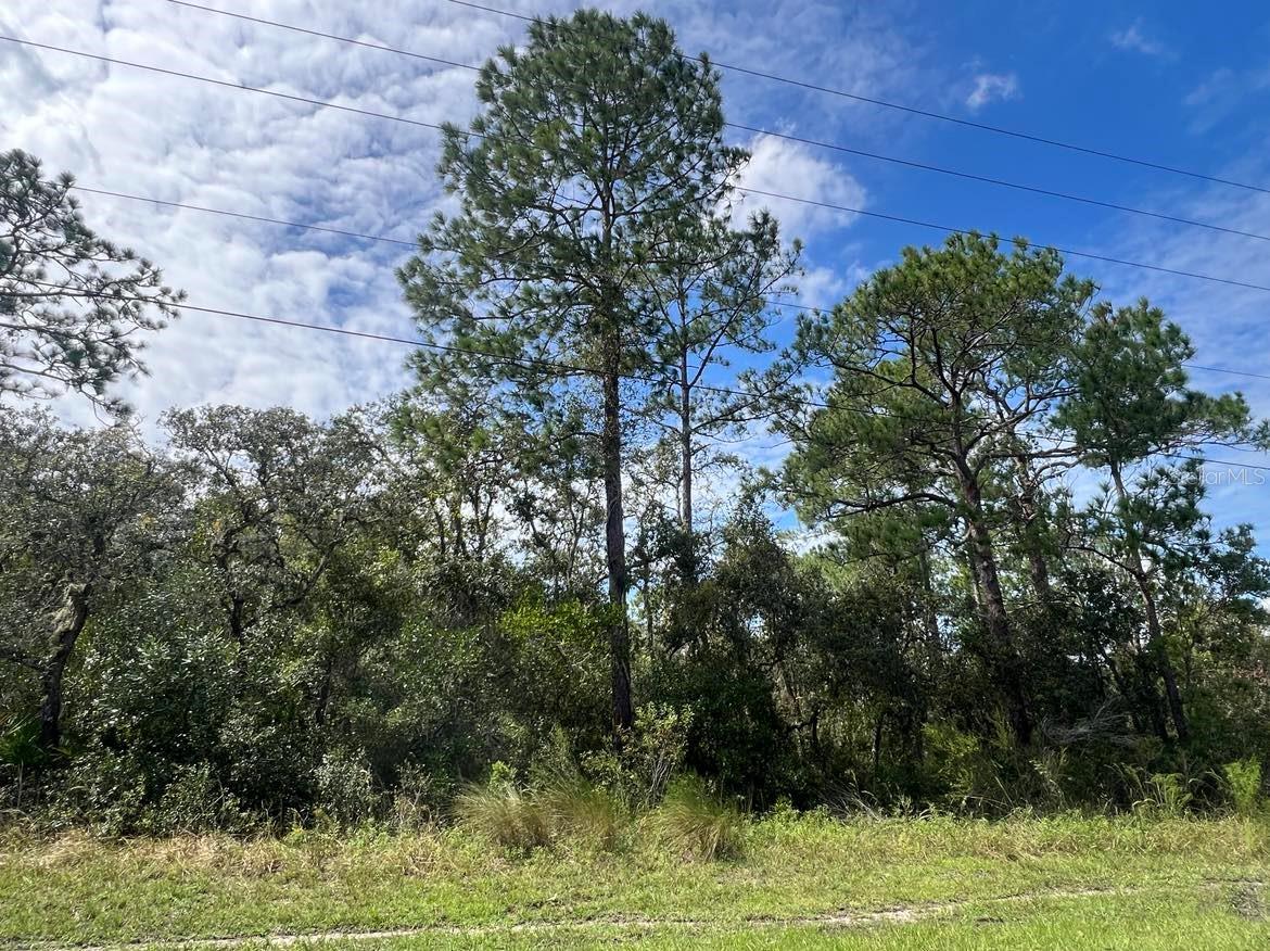 0 MADONNA DR, WEBSTER, FL, 33597