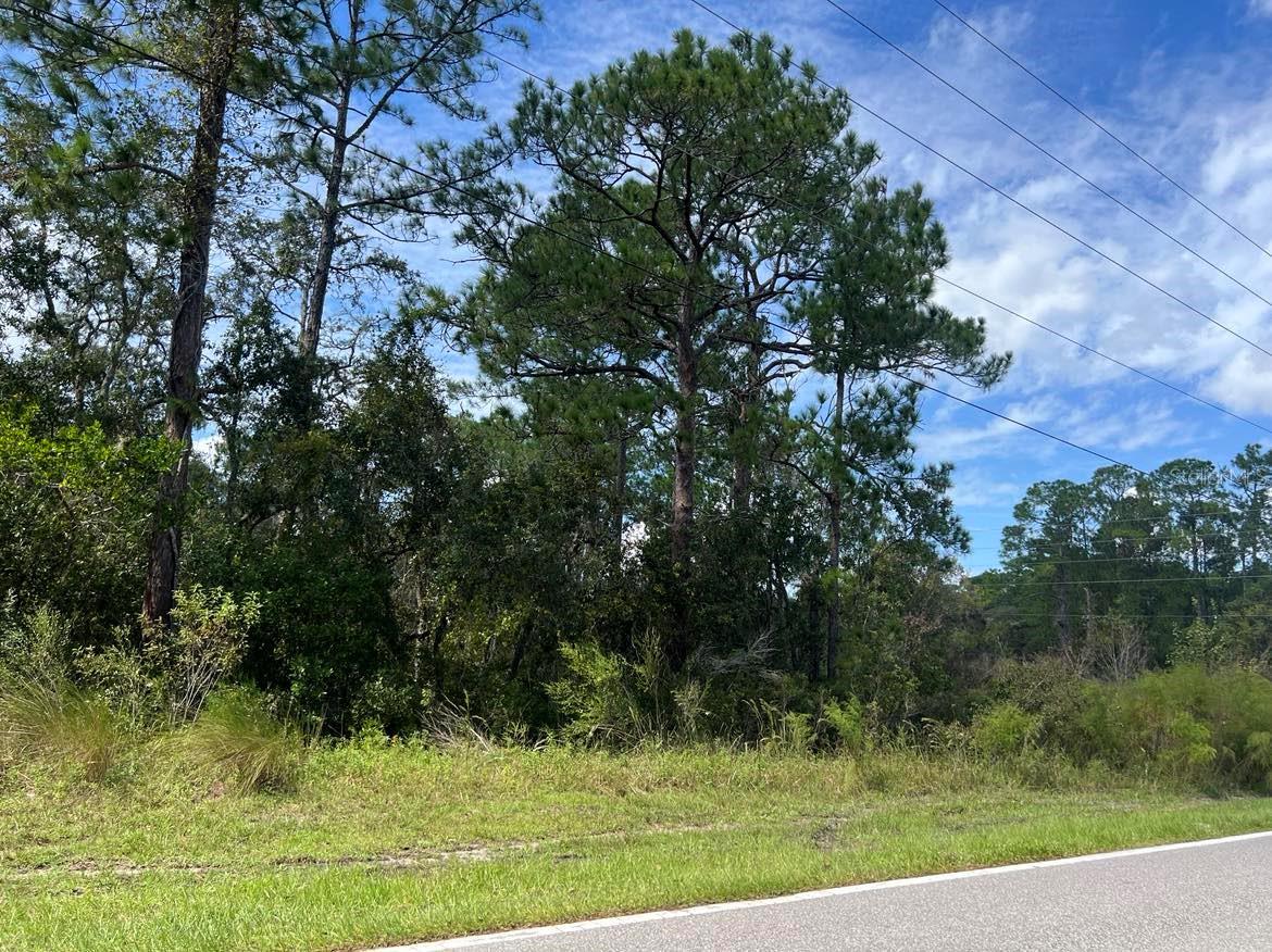 00 RICHARDSON BLVD #Lot #1, WEBSTER, FL, 33597
