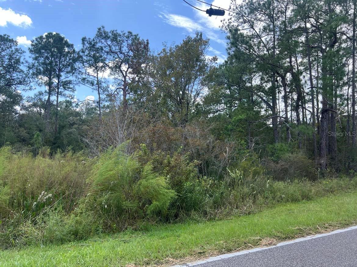 00 RICHARDSON BLVD #Lot #1, WEBSTER, FL, 33597