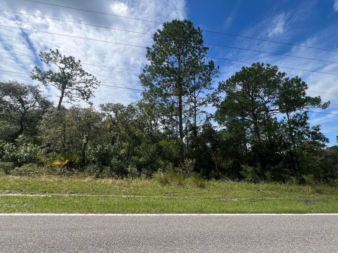 00 RICHARDSON BLVD #Lot #1, WEBSTER, FL, 33597