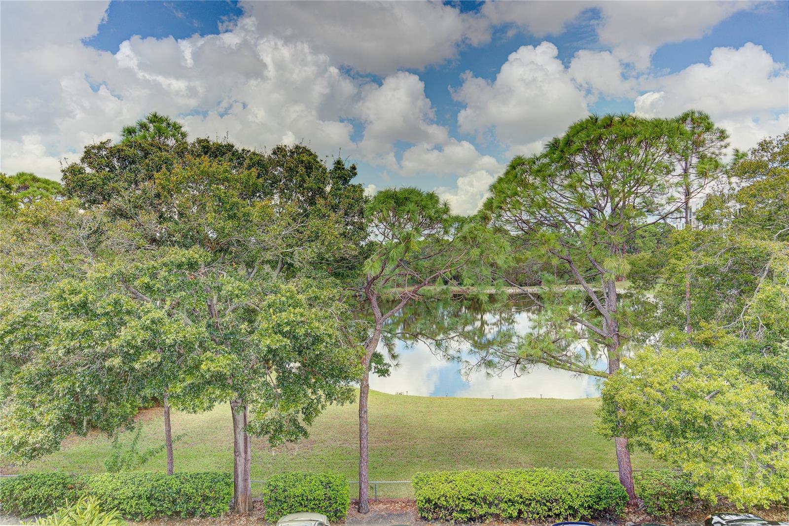 5849 PARK ST N #412, ST PETERSBURG, FL, 33709