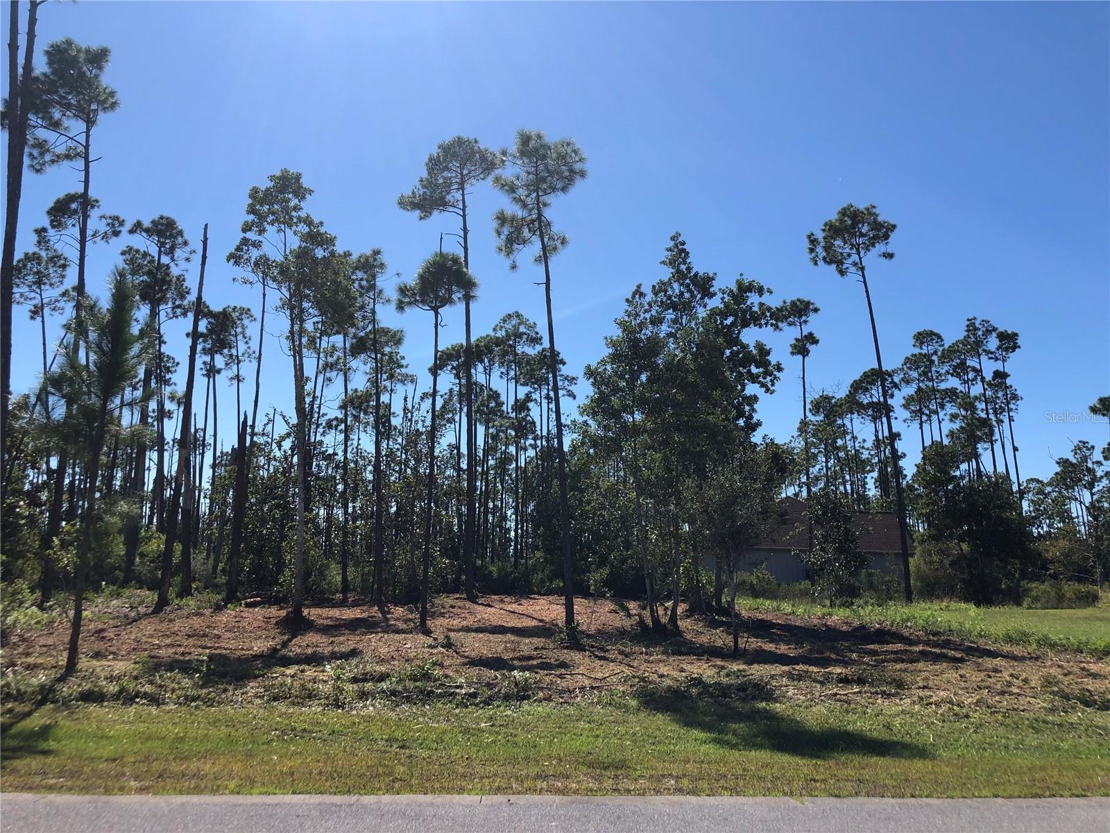 1016 TIDEWATER LN, PANAMA CITY, FL, 32404