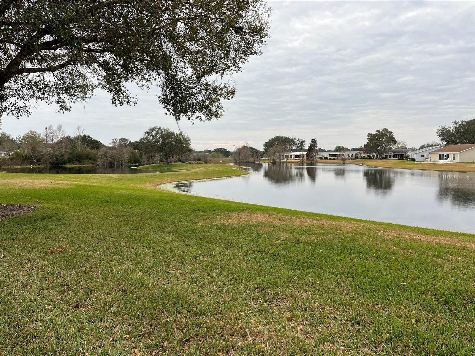 25304 FOREST OAK CT, LEESBURG, FL, 34748