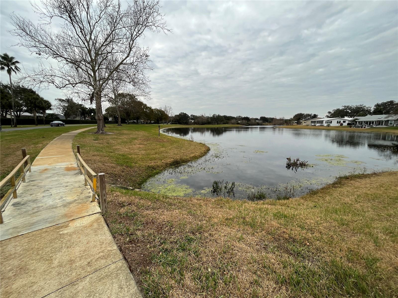 25304 FOREST OAK CT, LEESBURG, FL, 34748
